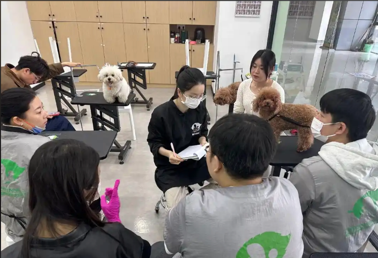 崇左市宠物美容师宠物美容培训学校 - 厂家
